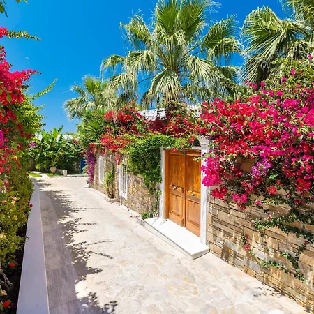 Porto Zante Villas And Spa-3